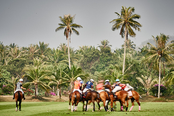 THAI-PINK-POLO-2020-Dominic-James_DJ93704.ARW-8171