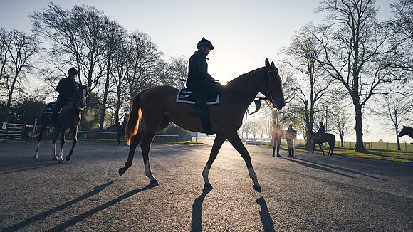 GEORGE-BOUGHEY-RACING-DJ-0730