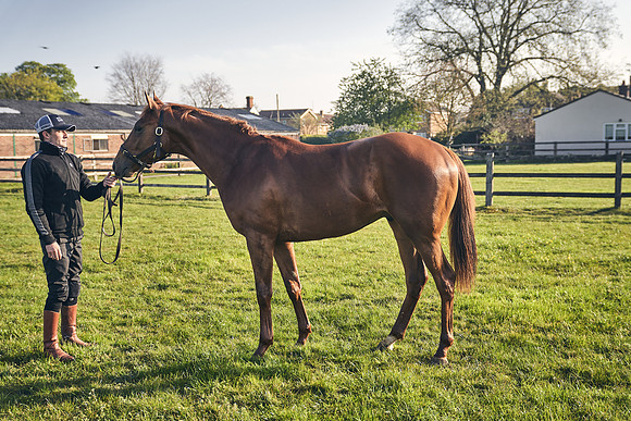GEORGE-BOUGHEY-RACING-DJ-1410