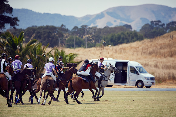 Oyster Cup Polo tournament