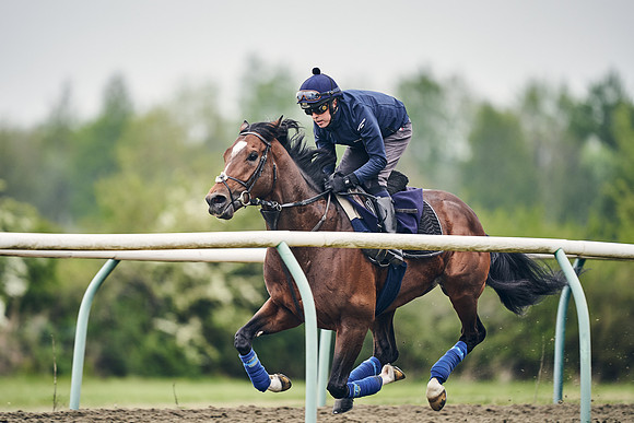 NEWMARKET-GALLOPS-25th-APRIL-DJ-0066