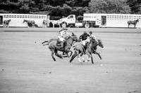 WORLD POLO BOARD