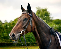 008 George Boughey