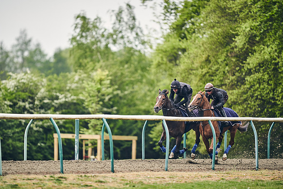 NEWMARKET-GALLOPS-25th-APRIL-DJ-0084