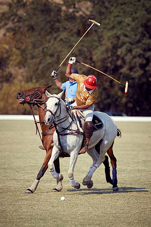 Oyster Cup Polo tournament