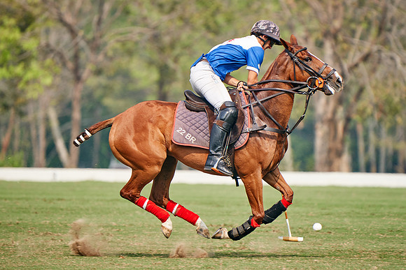 THAI-POLO-OPEN-2020-01-17-Dominic-James_DJ97759.ARW2109