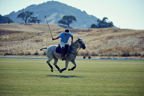 Oyster Cup Polo tournament