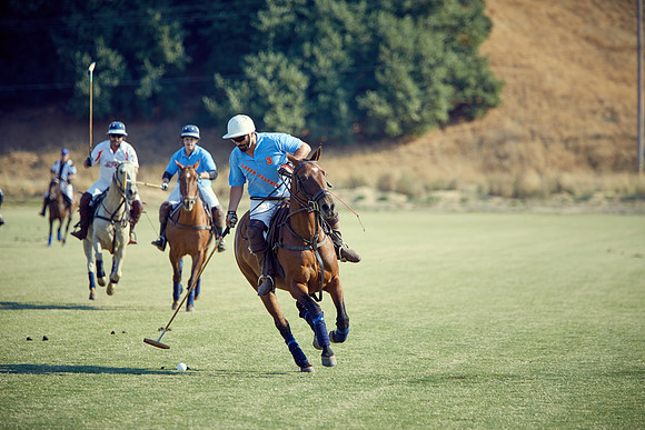 Oyster Cup Polo tournament