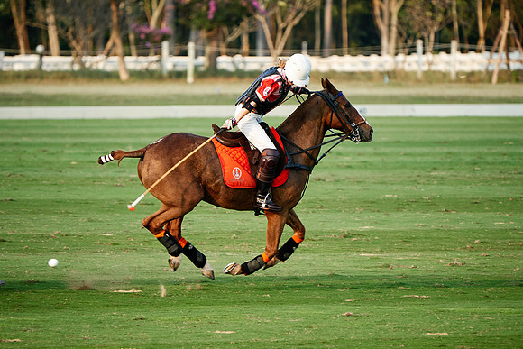 THAI-PINK-POLO-2019_DJ_3300