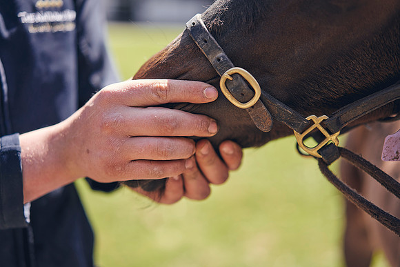 The-National-Stud-Dominic-James_DOM0369