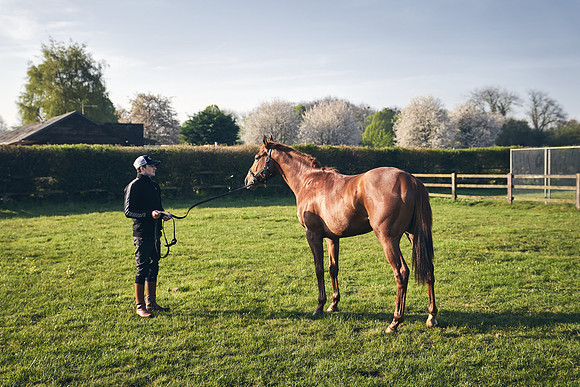 GEORGE-BOUGHEY-RACING-DJ-1378