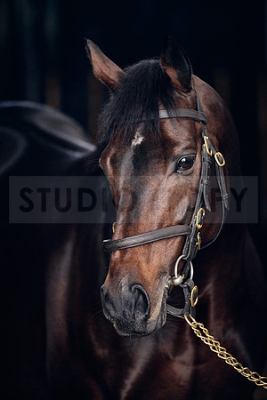 NATIONAL-STUD-TIME-TEST-DJ-_DJ71002