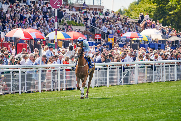QGF2022_DominicJames_15615