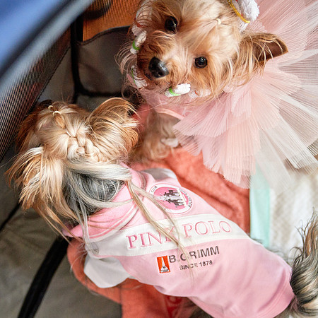 THAI-PINK-POLO-2019-FINALS_DOM1367