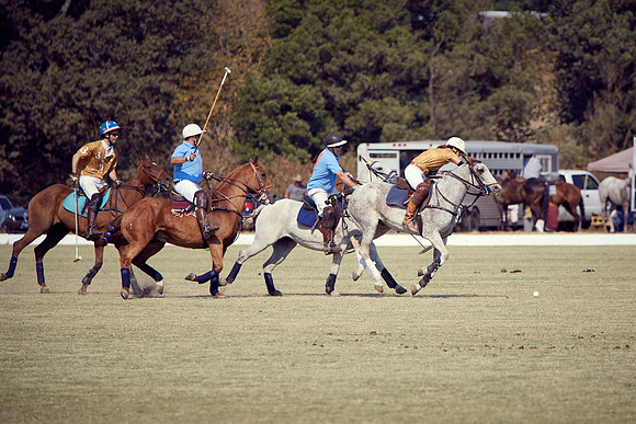 Oyster Cup Polo tournament