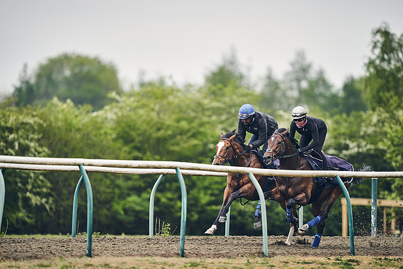 NEWMARKET-GALLOPS-25th-APRIL-DJ-0117