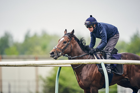 NEWMARKET-GALLOPS-25th-APRIL-DJ-0070