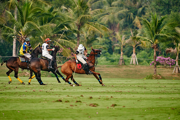 THAI-POLO-OPEN-2020-01-17-Dominic-James_DJ99410.ARW4970