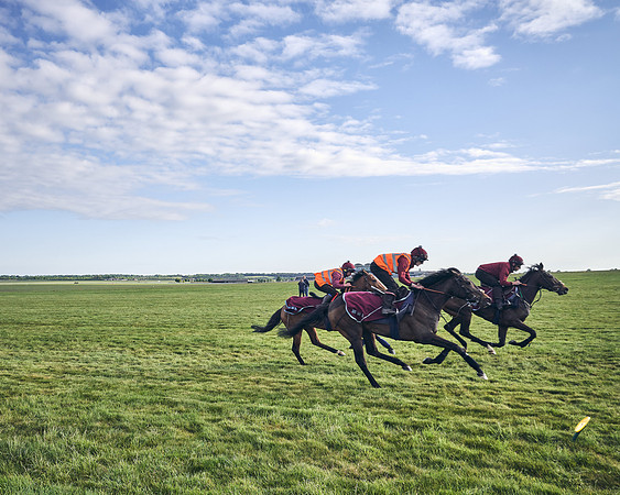 SUMMER GALLOPS-2nd-May-DJ-1774