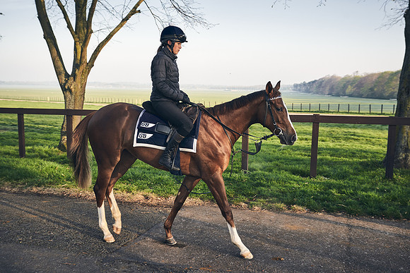 GEORGE-BOUGHEY-RACING-DJ-0643