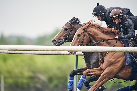 NEWMARKET-GALLOPS-25th-APRIL-DJ-0104