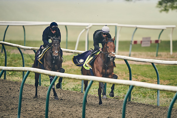 NEWMARKET-GALLOPS-24nd-APRIL-DJ-0340
