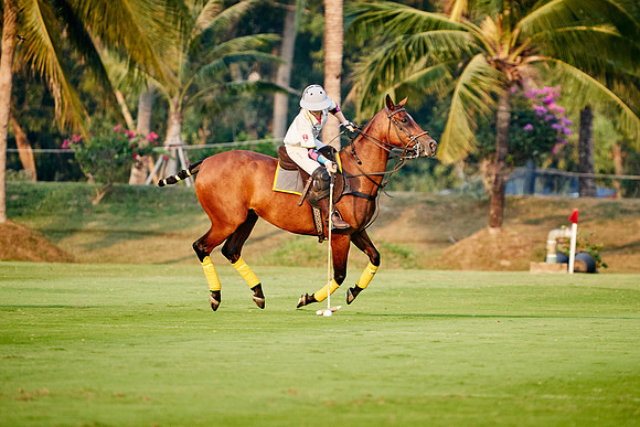 THAI-PINK-POLO-2020-Dominic-James_DJ96176.ARW-11698