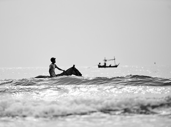 _DSC2784.ARW