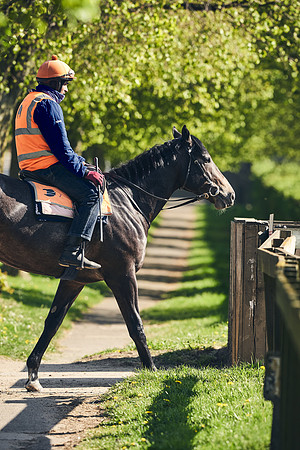 NEWMARKET-GALLOPS-22nd-APRIL-DJ-4081