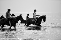 _DSC2744.ARW