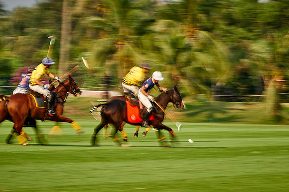 THAI-POLO-OPEN-2019_DJ_0586