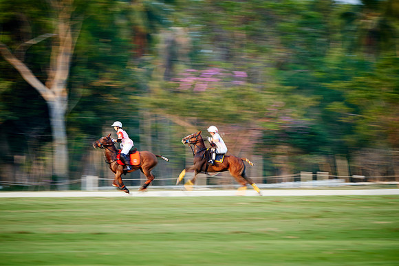 THAI-PINK-POLO-2019_DJ_3630