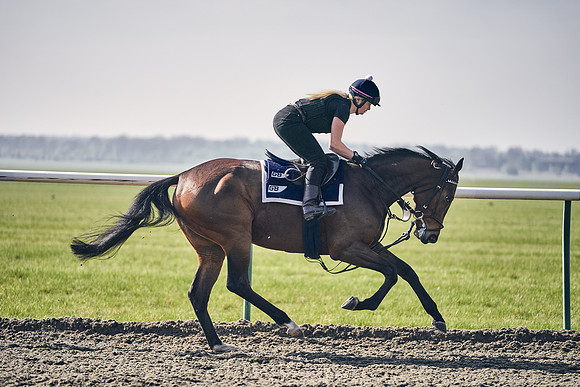 GEORGE-BOUGHEY-RACING-DJ-3423