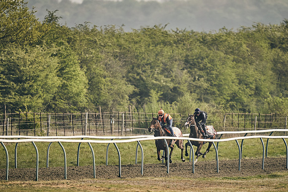 NEWMARKET-GALLOPS-24nd-APRIL-DJ-0668