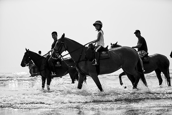 _DSC1796.ARW