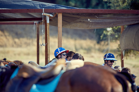 Oyster Cup Polo tournament