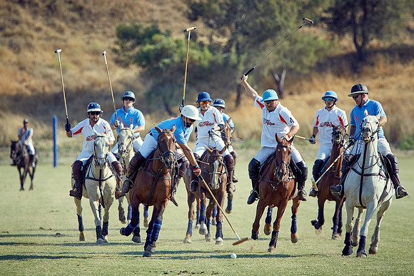Oyster Cup Polo tournament