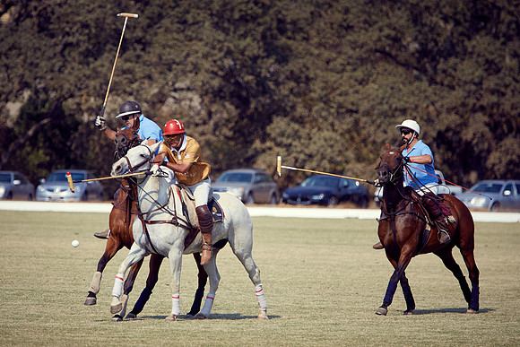 Oyster Cup Polo tournament