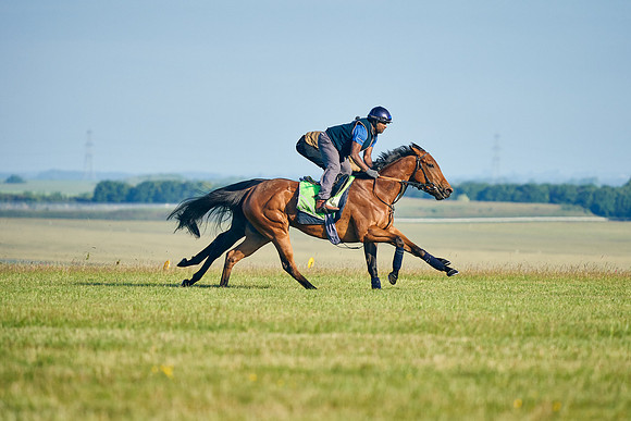 2022-06-01-Dominic-James-2656