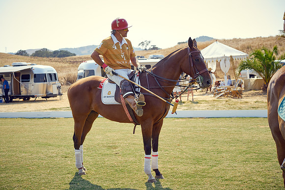 Oyster Cup Polo tournament