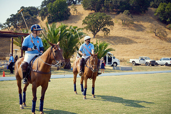 Oyster Cup Polo tournament