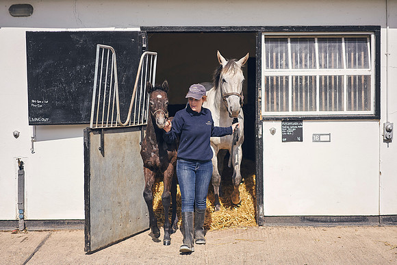 The-National-Stud-Dominic-James_DOM9462