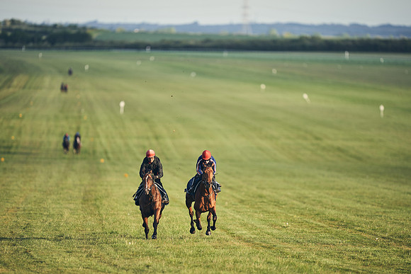 SUMMER GALLOPS-2nd-May-DJ-2149