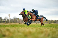 6th April 22 Flat Gallop 003