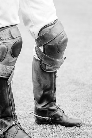 Royal Salute Gold Cup 2012 China Polo Open Tournament