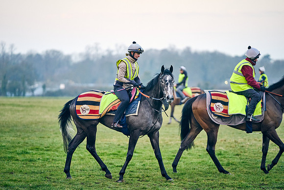 2022-03-11-Dominic-James-1293