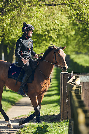 NEWMARKET-GALLOPS-22nd-APRIL-DJ-3806