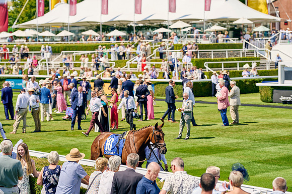 QGF2024_DominicJames_19576