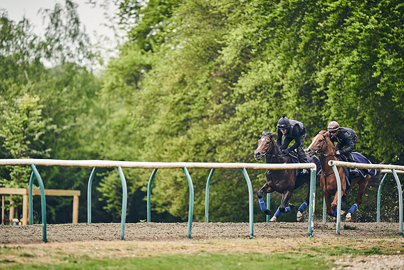 NEWMARKET-GALLOPS-25th-APRIL-DJ-0082