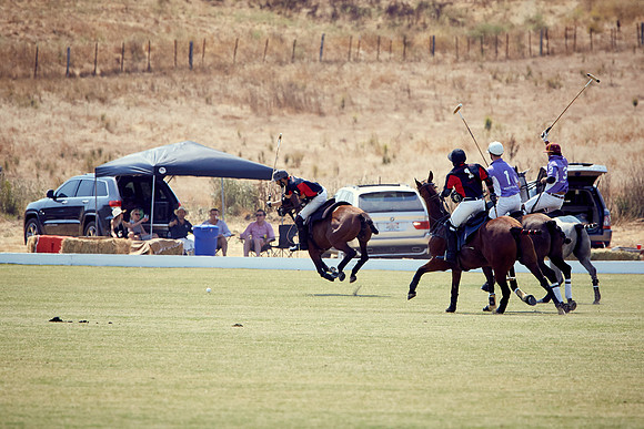 Oyster Cup Polo tournament